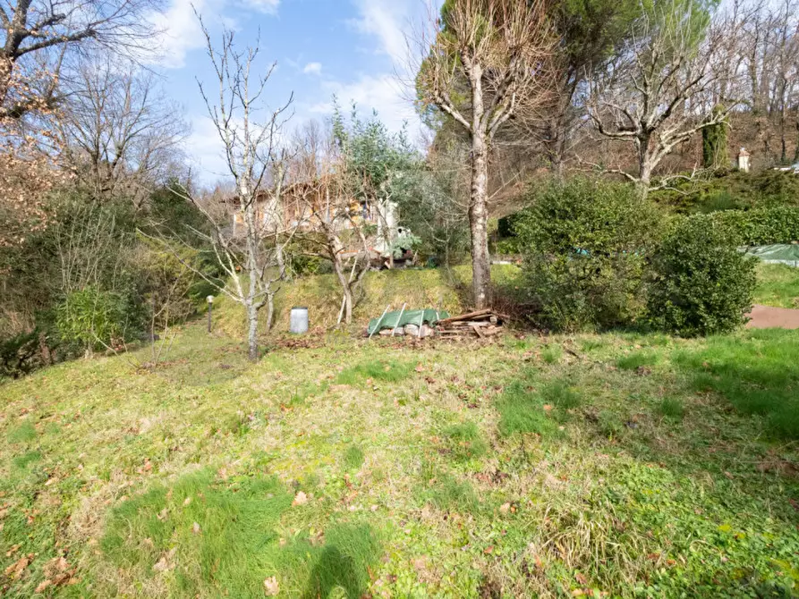 Immagine 31 di Casa indipendente in vendita  in VIA ROMA a Londa