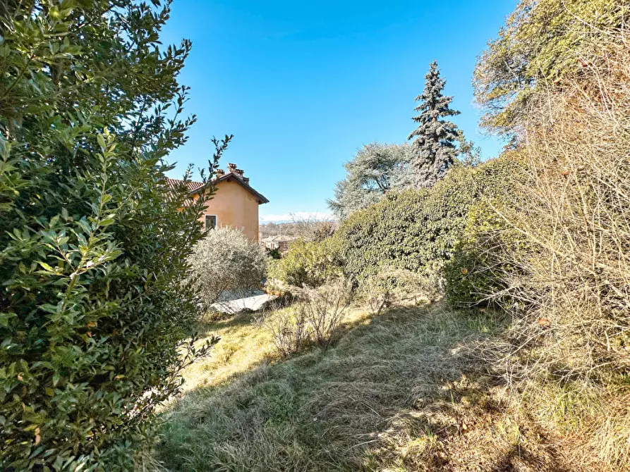 Immagine 35 di Palazzo in vendita  in via curino 14 a Brusnengo