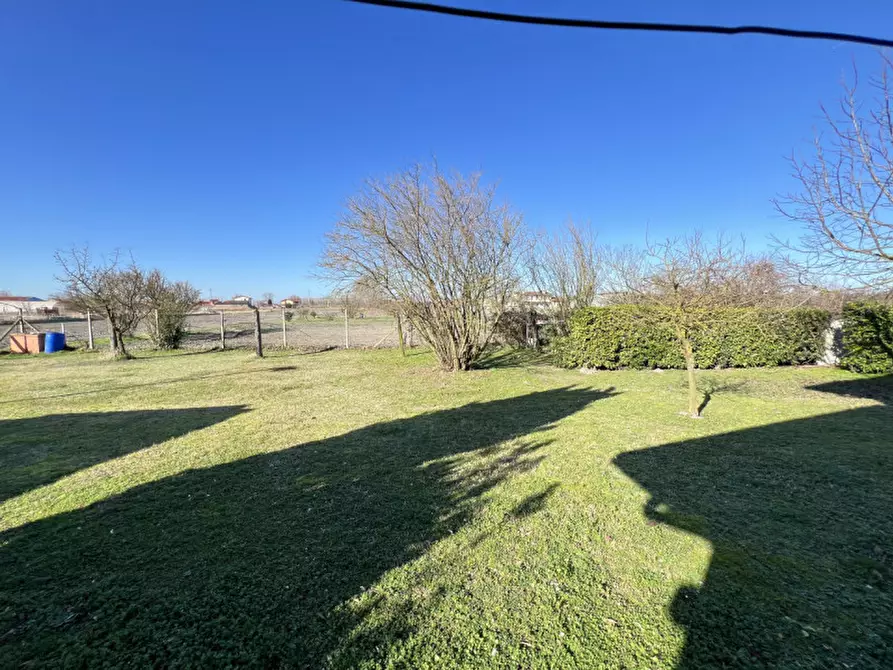 Immagine 38 di Villa in vendita  in Via Vecchia Romea a Chioggia