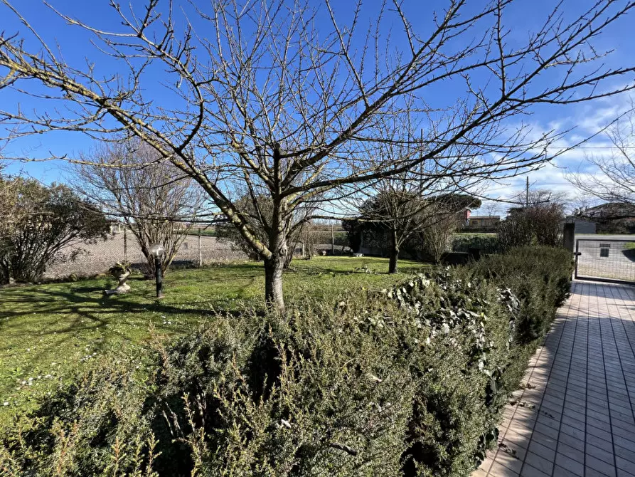 Immagine 43 di Villa in vendita  in Via Vecchia Romea a Chioggia