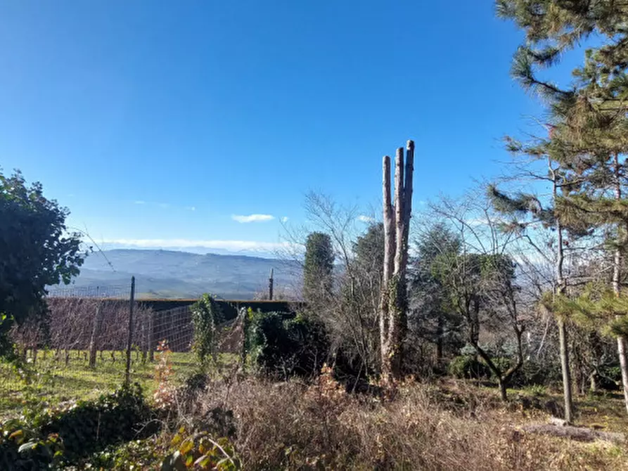 Immagine 8 di Villa in vendita  in Via Alba a Diano D'alba
