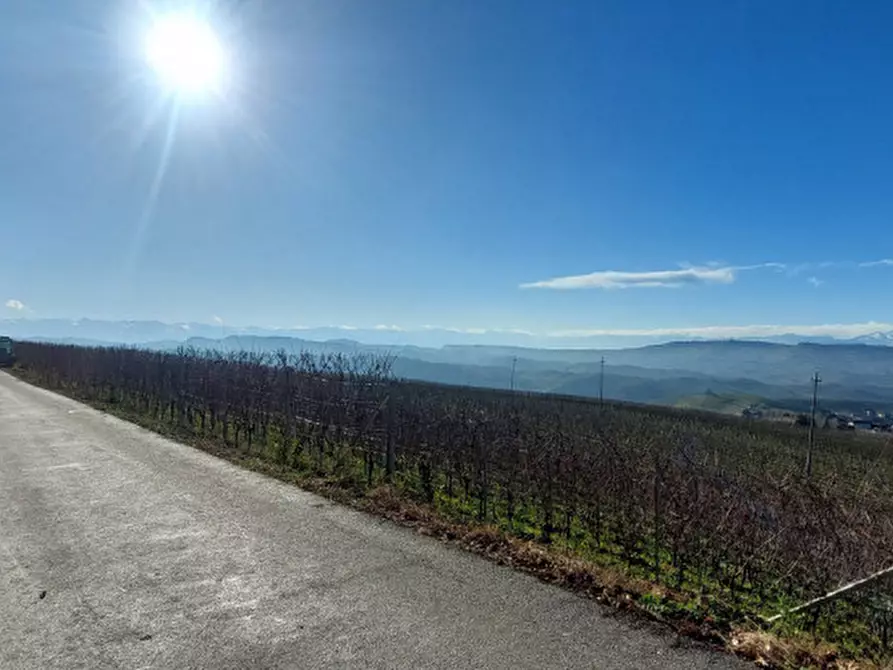 Immagine 43 di Villa in vendita  in Via Alba a Diano D'alba