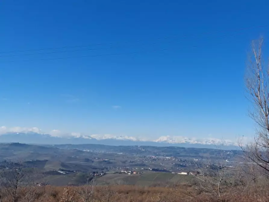 Immagine 44 di Villa in vendita  in Via Alba a Diano D'alba