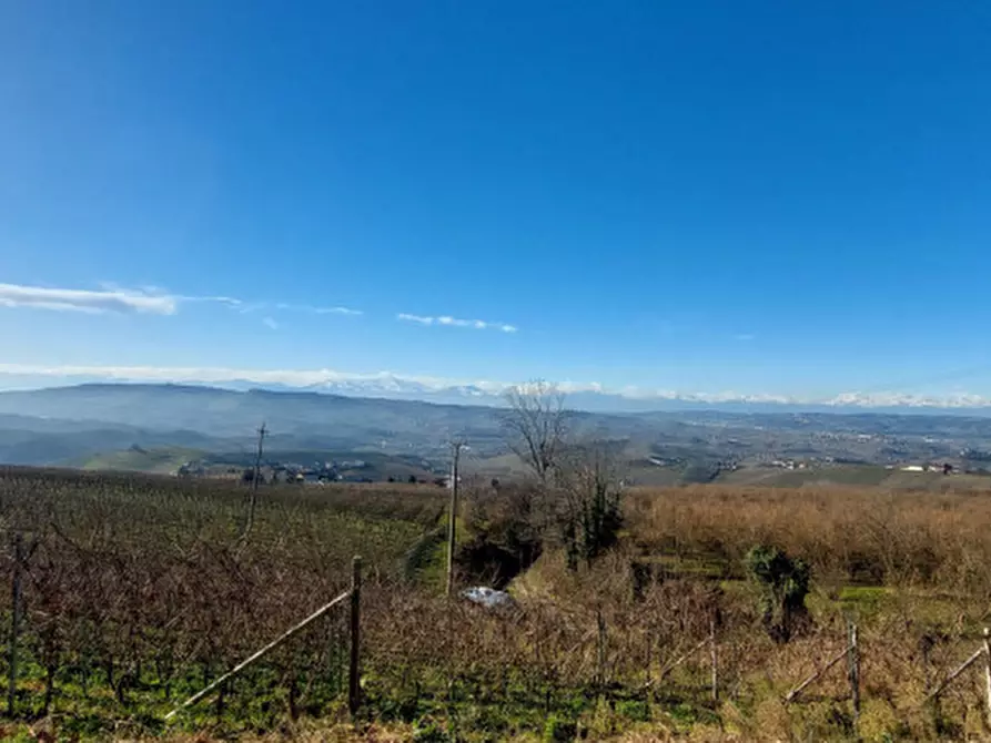 Immagine 45 di Villa in vendita  in Via Alba a Diano D'alba