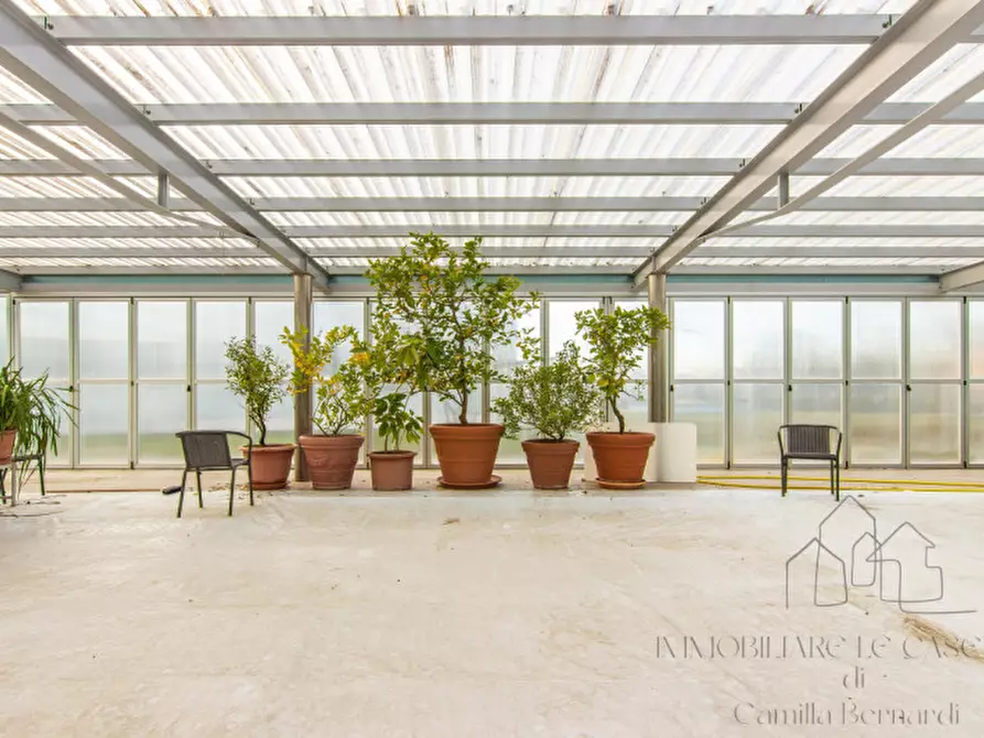 Immagine 48 di Villa in vendita  a Legnaro