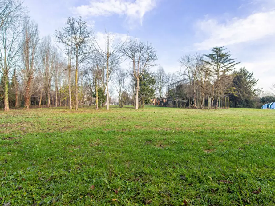 Immagine 52 di Villa in vendita  a Legnaro