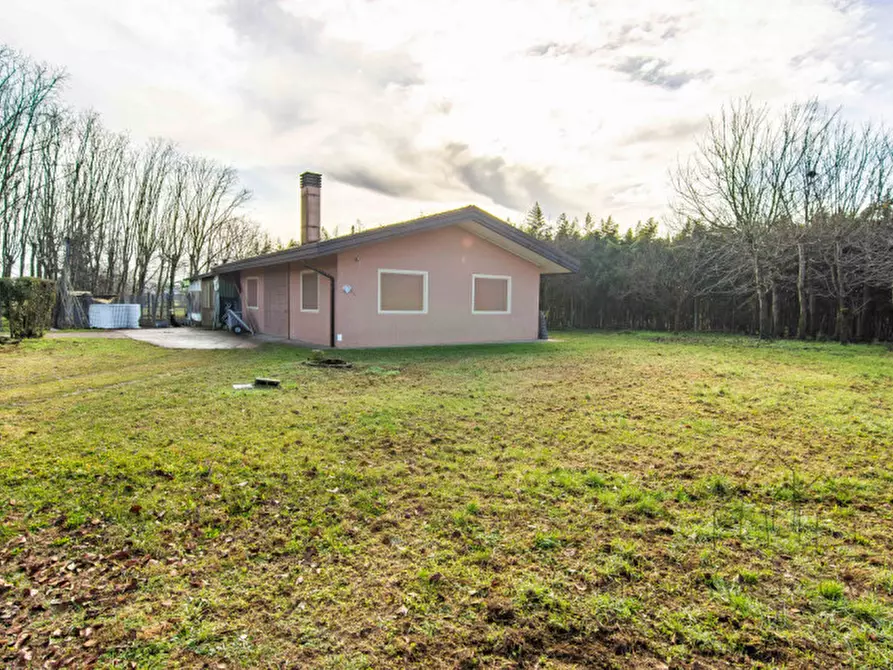 Immagine 57 di Villa in vendita  a Legnaro