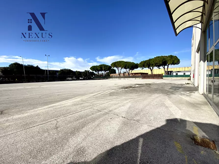 Immagine 18 di Capannone industriale in affitto  a Senigallia