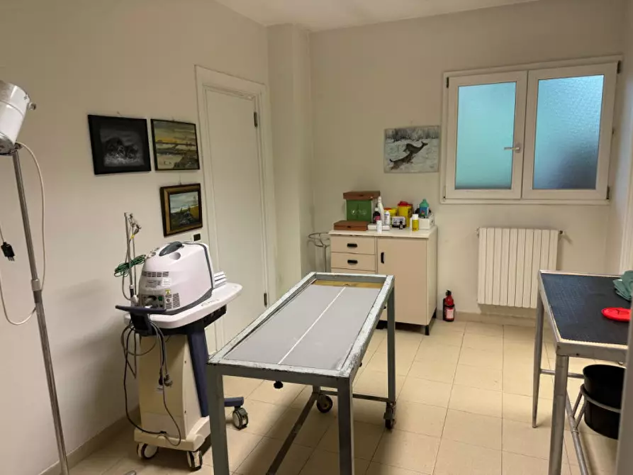 Immagine 7 di Ufficio in affitto  in via della biscia a Padova