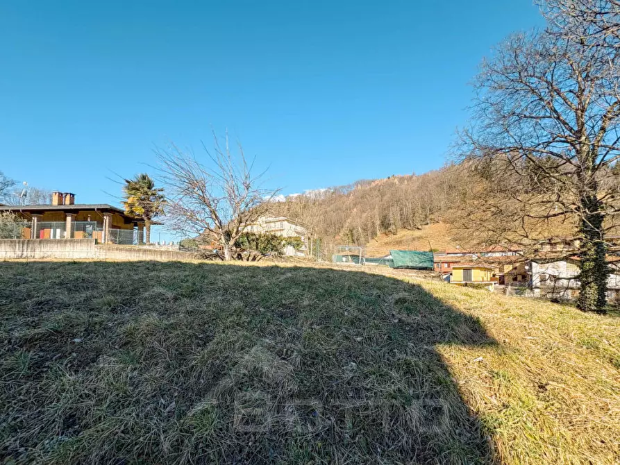 Immagine 5 di Terreno in vendita  in via bagnalera a Armeno