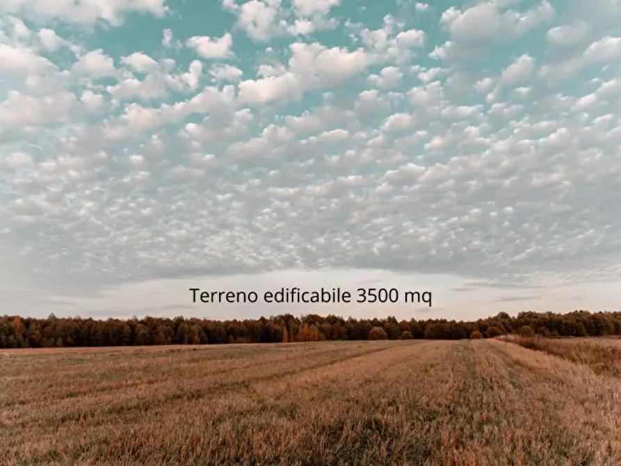 Immagine 2 di Terreno in vendita  in Via argine san marco inferiore a Musile Di Piave