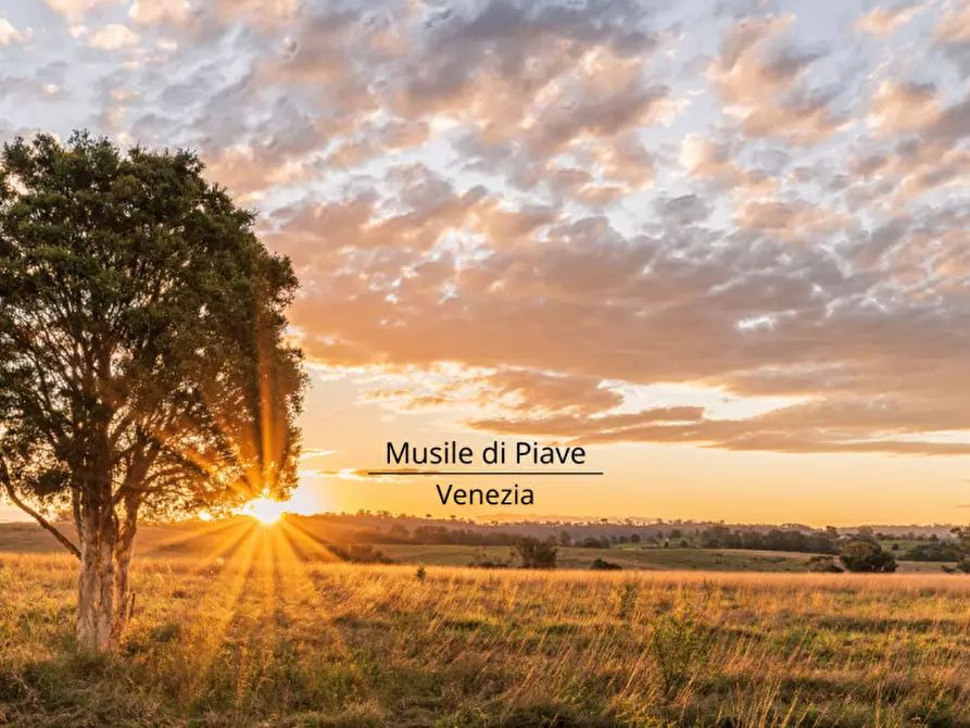 Immagine 5 di Terreno in vendita  in Via argine san marco inferiore a Musile Di Piave