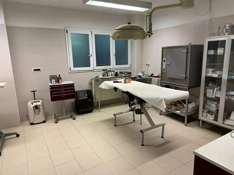 Immagine 4 di Ufficio in affitto  in via della biscia a Padova