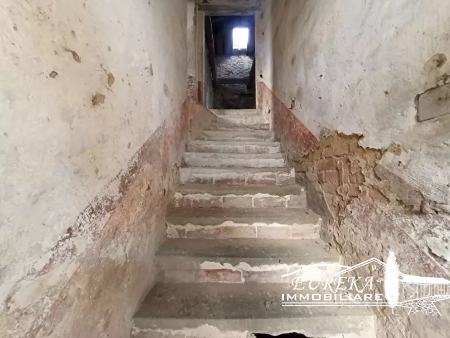 Immagine 12 di Rustico / casale in vendita  a Paciano