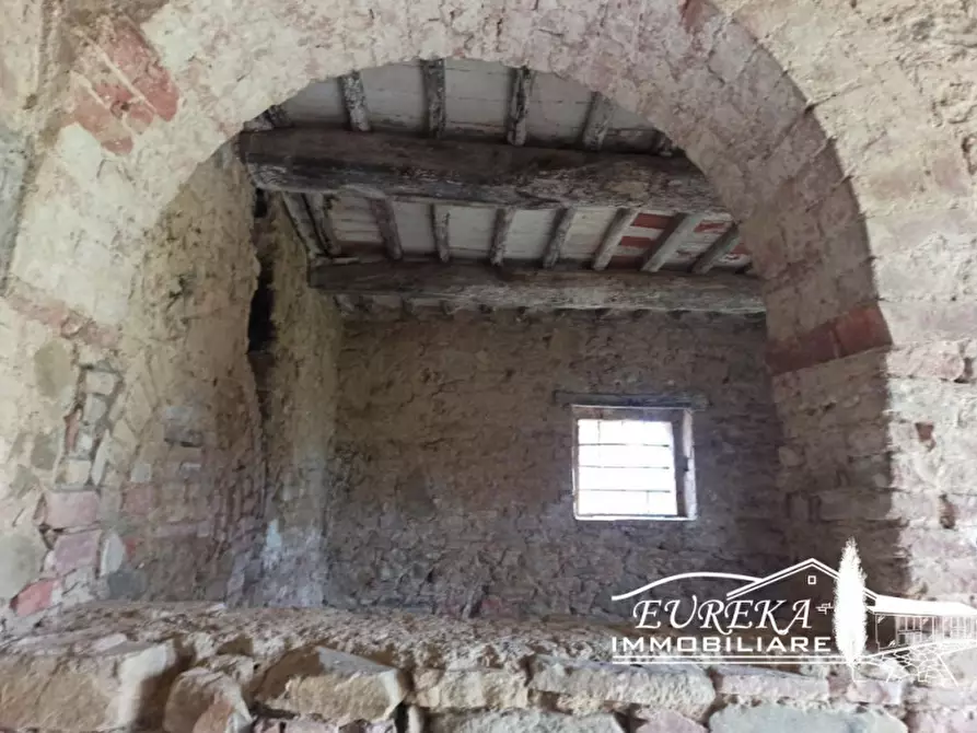 Immagine 15 di Rustico / casale in vendita  a Paciano