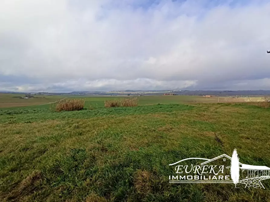 Immagine 21 di Rustico / casale in vendita  a Paciano