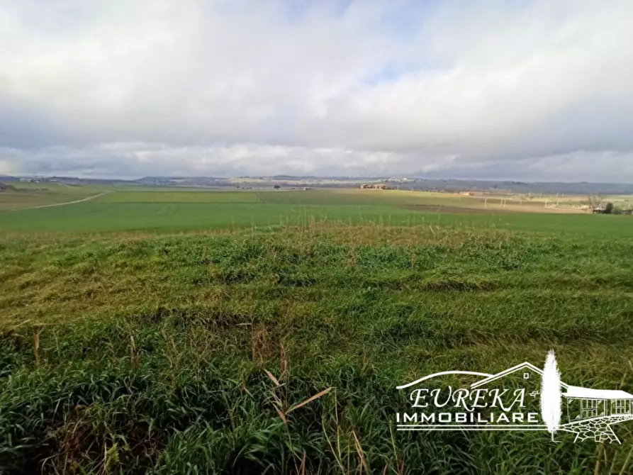 Immagine 22 di Rustico / casale in vendita  a Paciano