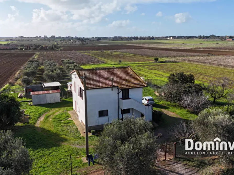 Immagine 4 di Rustico / casale in vendita  in Strada Pedemontana a Capalbio