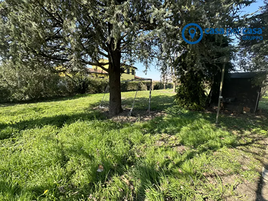 Immagine 27 di Casa indipendente in vendita  in Villadose, Via A Rizzo a Villadose