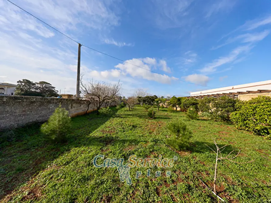 Immagine 24 di Laboratorio in vendita  in Via Venezuela a Racale