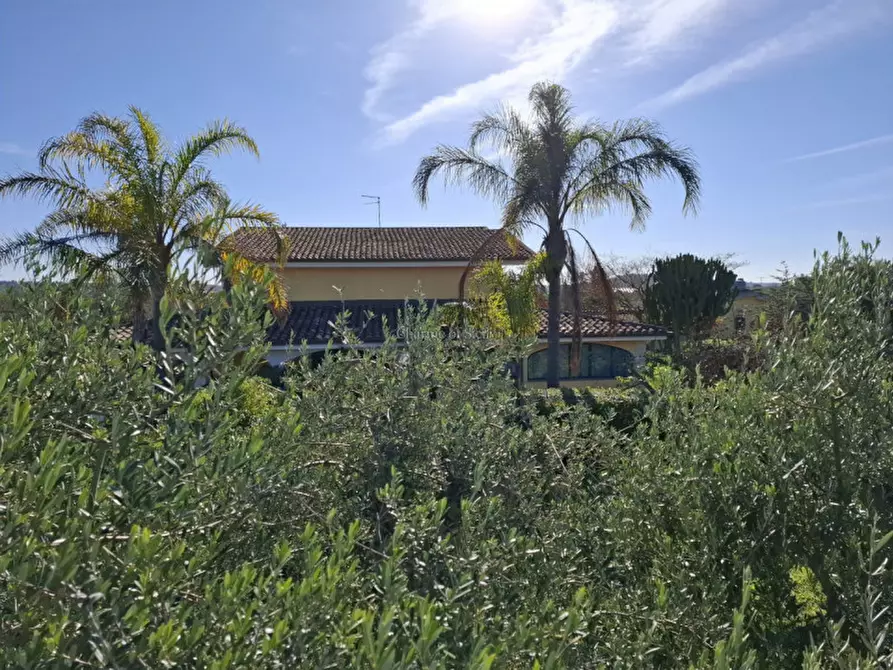 Immagine 15 di Casa indipendente in vendita  in Contrada Biduri a Ispica