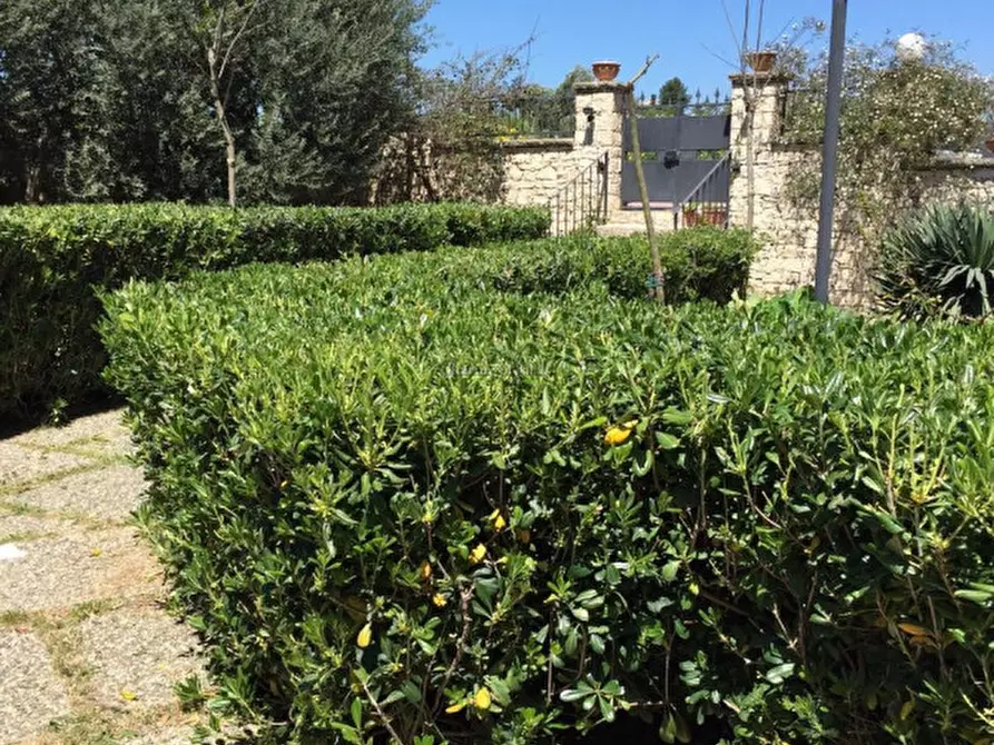 Immagine 29 di Casa indipendente in vendita  in Contrada Biduri a Ispica