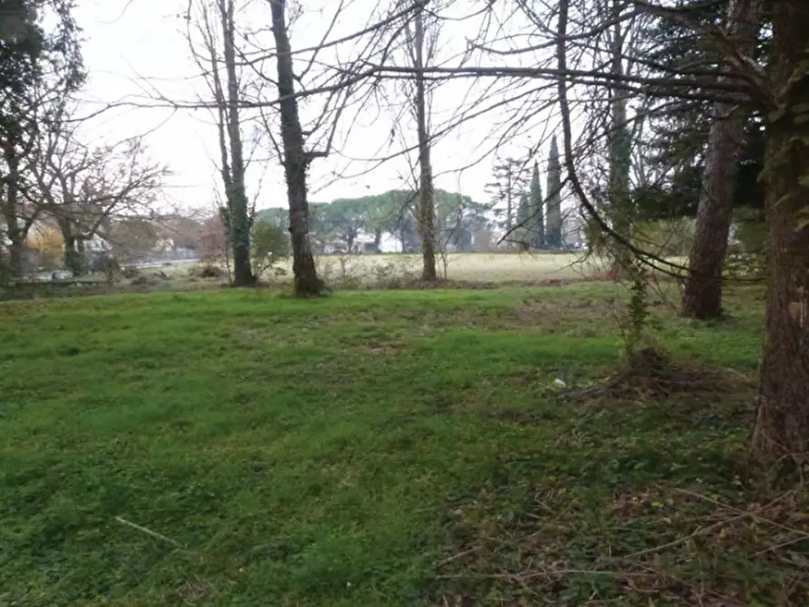 Immagine 13 di Villa in vendita  in Via Roma, 8 a Codognè