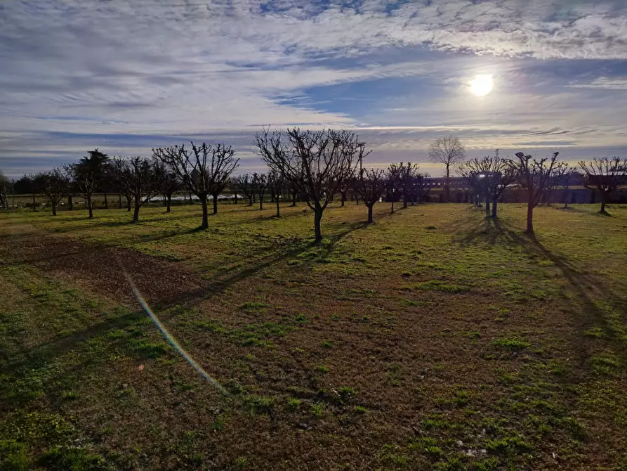 Immagine 21 di Casa bifamiliare in vendita  in Via Muraglie 10 a Monselice