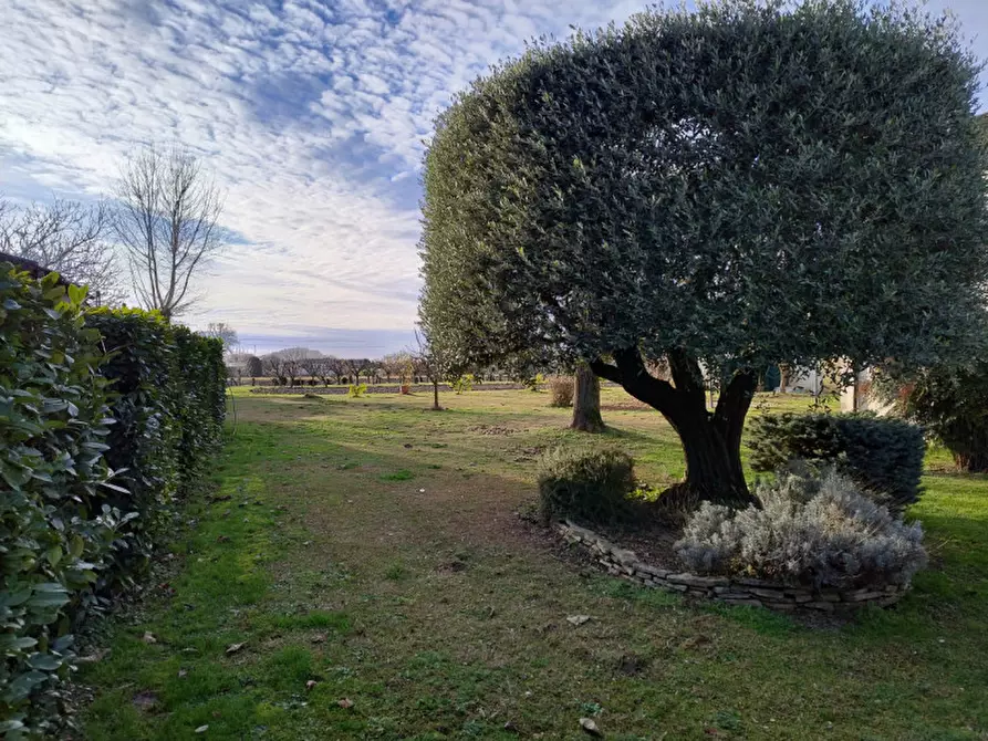 Immagine 27 di Casa indipendente in vendita  in Via Muraglie a Monselice