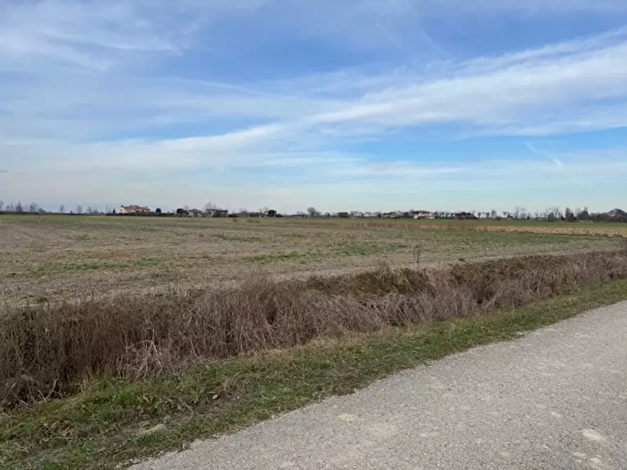 Immagine 2 di Terreno in vendita  a Rovolon