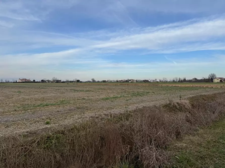 Immagine 3 di Terreno in vendita  a Rovolon