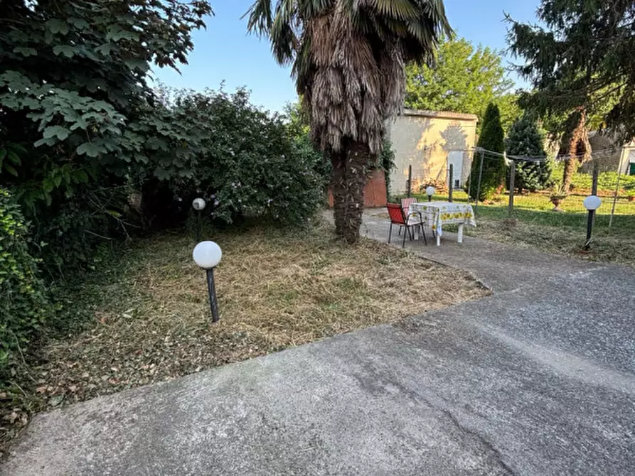 Immagine 10 di Appartamento in vendita  a Bagnolo Di Po