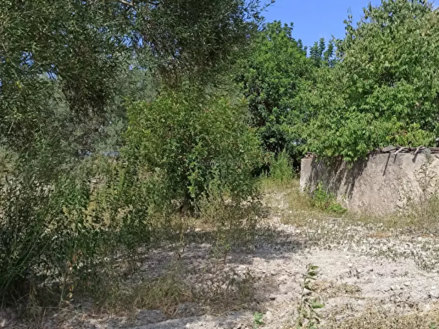 Immagine 23 di Casa indipendente in vendita  a Ragusa