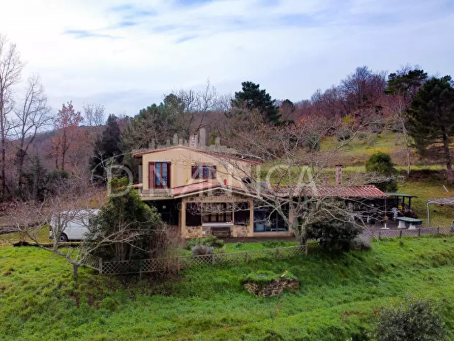 Immagine 4 di Rustico / casale in vendita  a Chianni