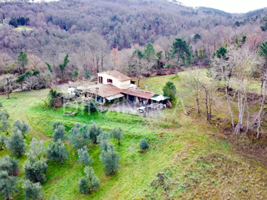 Immagine 5 di Rustico / casale in vendita  a Chianni