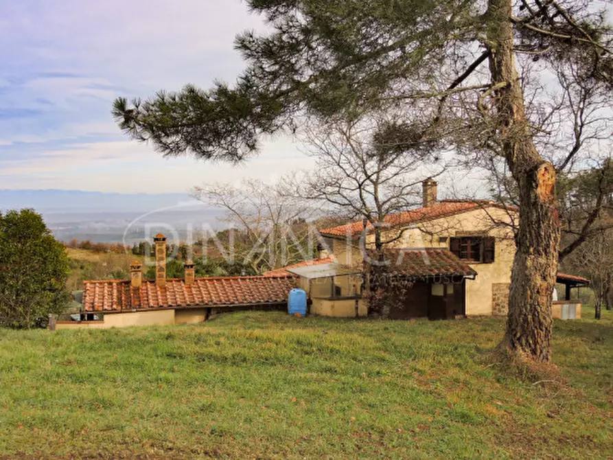 Immagine 8 di Rustico / casale in vendita  a Chianni