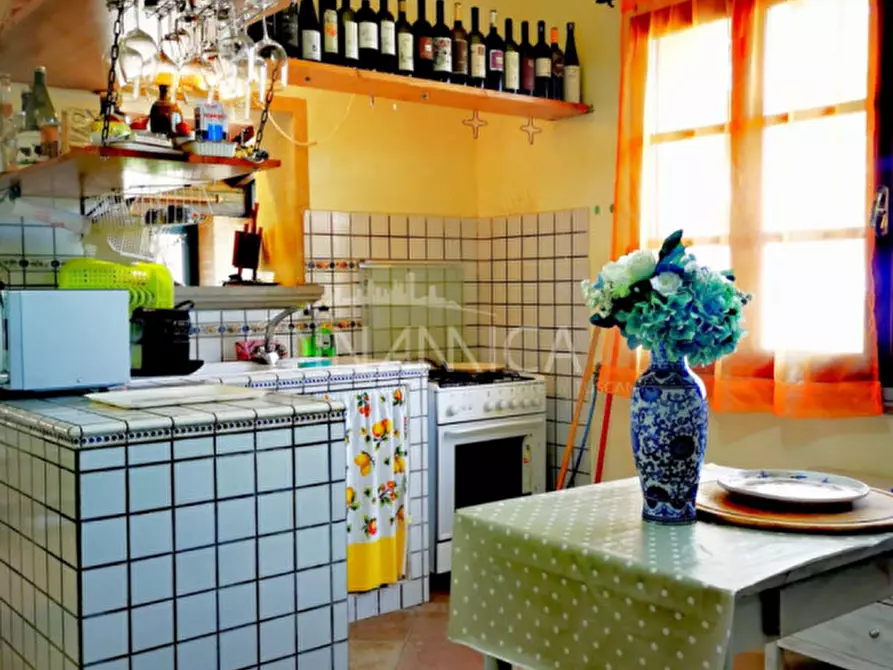 Immagine 17 di Rustico / casale in vendita  a Chianni