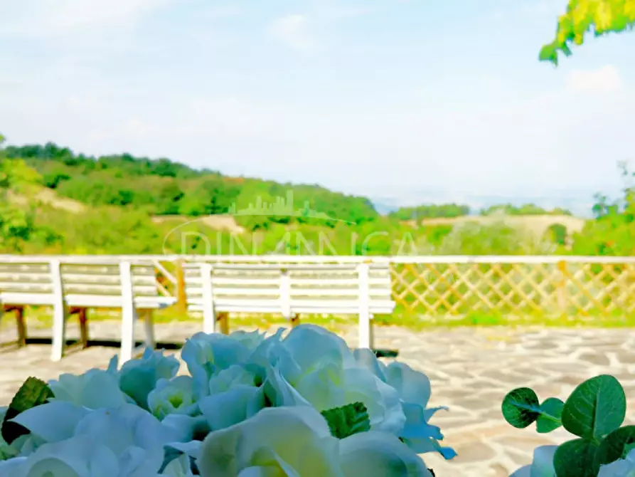 Immagine 24 di Rustico / casale in vendita  a Chianni