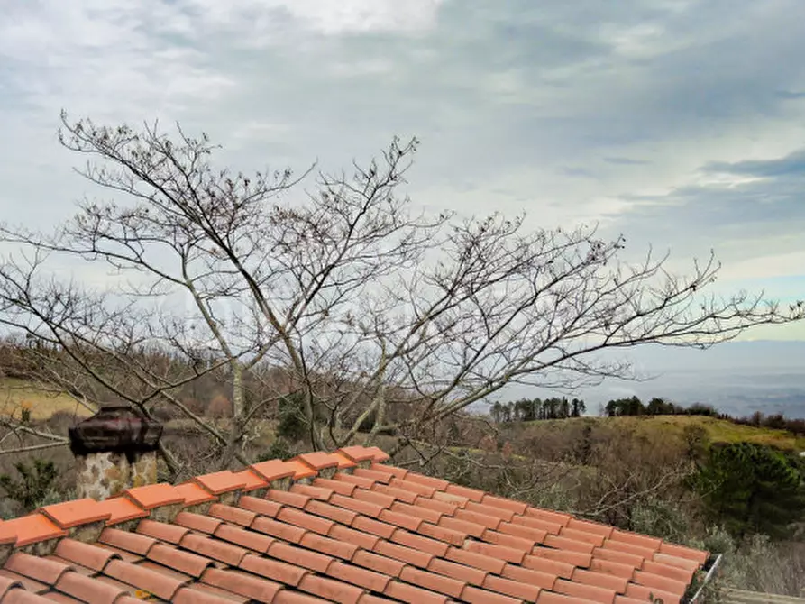 Immagine 33 di Rustico / casale in vendita  a Chianni