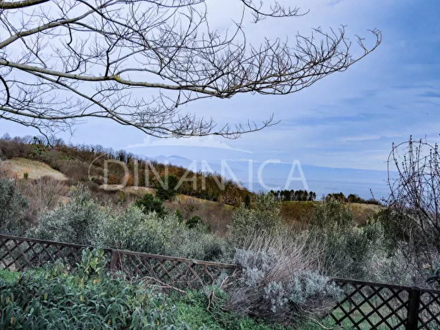 Immagine 34 di Rustico / casale in vendita  a Chianni