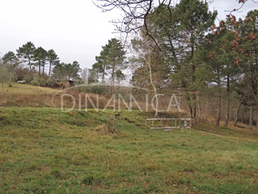 Immagine 41 di Rustico / casale in vendita  a Chianni