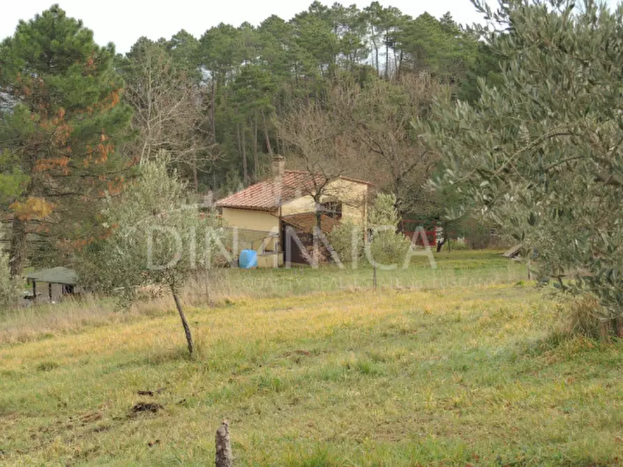 Immagine 42 di Rustico / casale in vendita  a Chianni