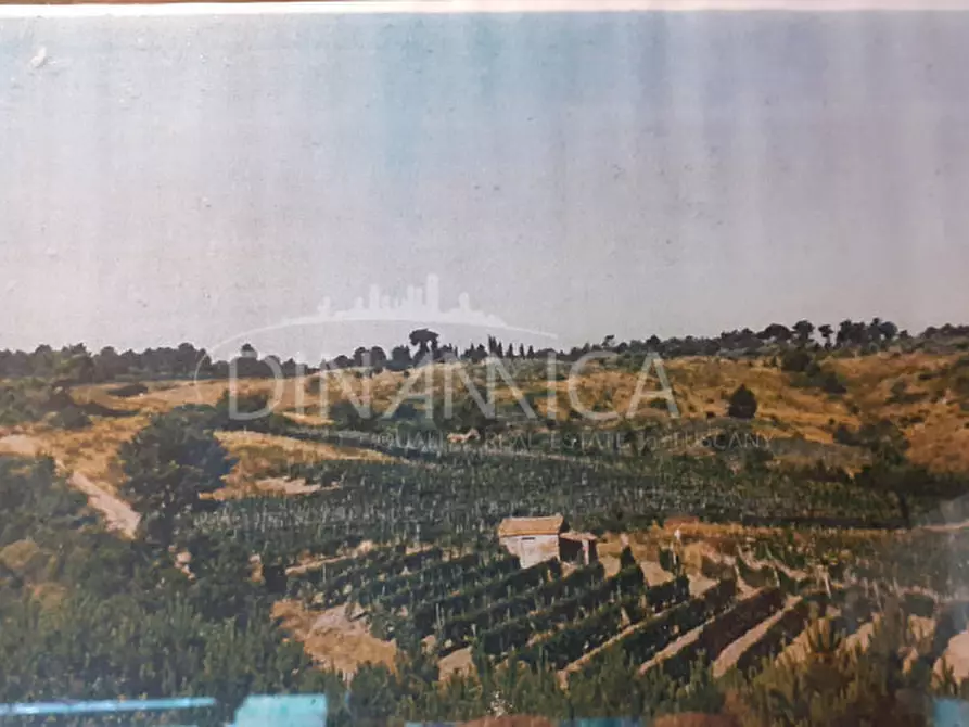 Immagine 43 di Rustico / casale in vendita  a Chianni