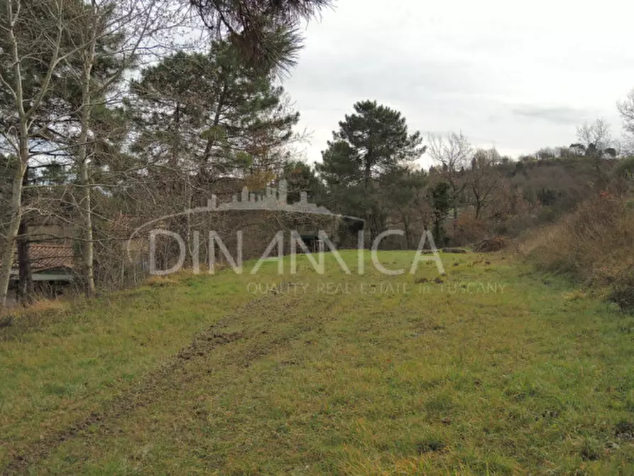 Immagine 44 di Rustico / casale in vendita  a Chianni