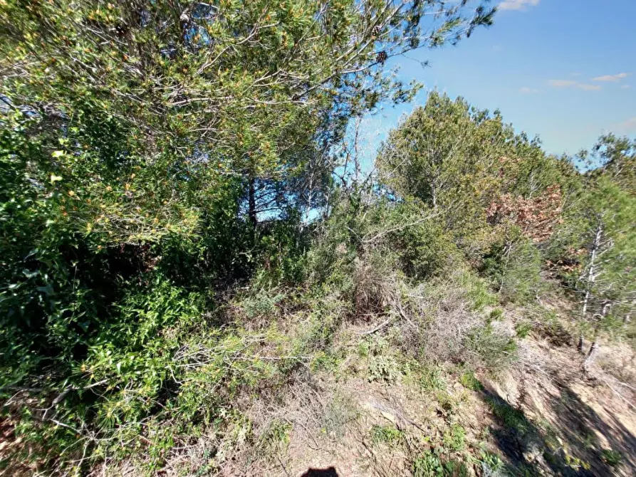 Immagine 2 di Magazzino in vendita  in Via Pairola, N. snc a San Bartolomeo Al Mare