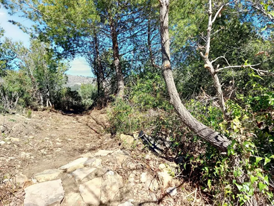 Immagine 3 di Magazzino in vendita  in Via Pairola, N. snc a San Bartolomeo Al Mare