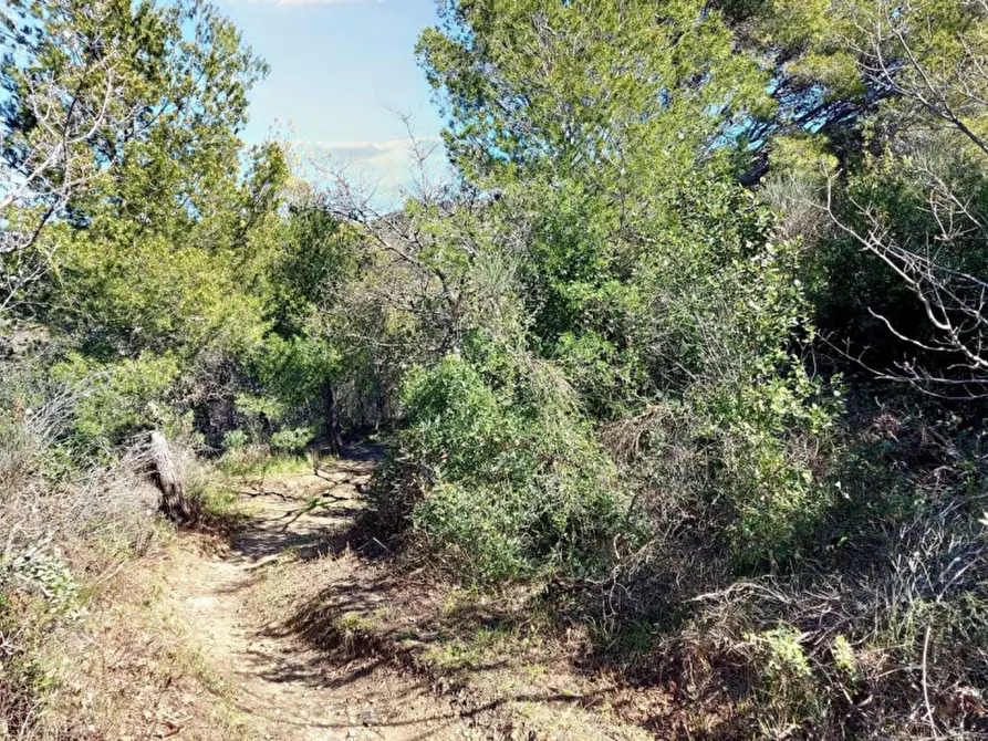 Immagine 4 di Magazzino in vendita  in Via Pairola, N. snc a San Bartolomeo Al Mare