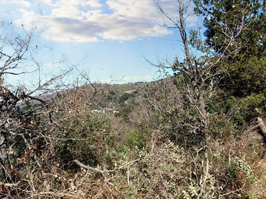 Immagine 5 di Magazzino in vendita  in Via Pairola, N. snc a San Bartolomeo Al Mare