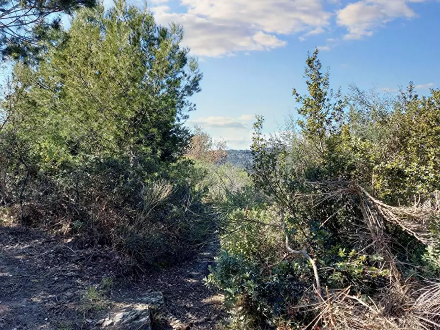 Immagine 6 di Magazzino in vendita  in Via Pairola, N. snc a San Bartolomeo Al Mare