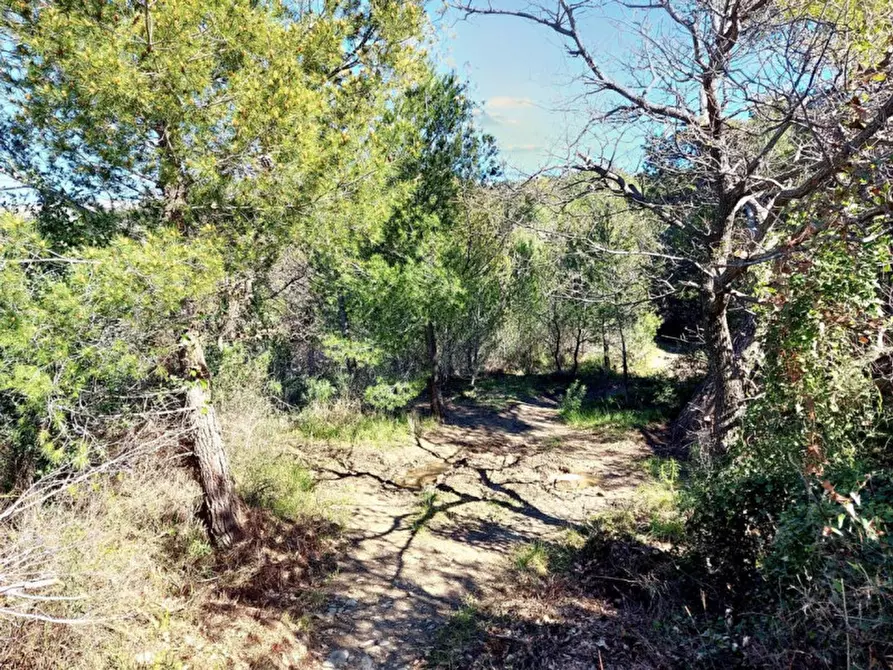 Immagine 7 di Magazzino in vendita  in Via Pairola, N. snc a San Bartolomeo Al Mare